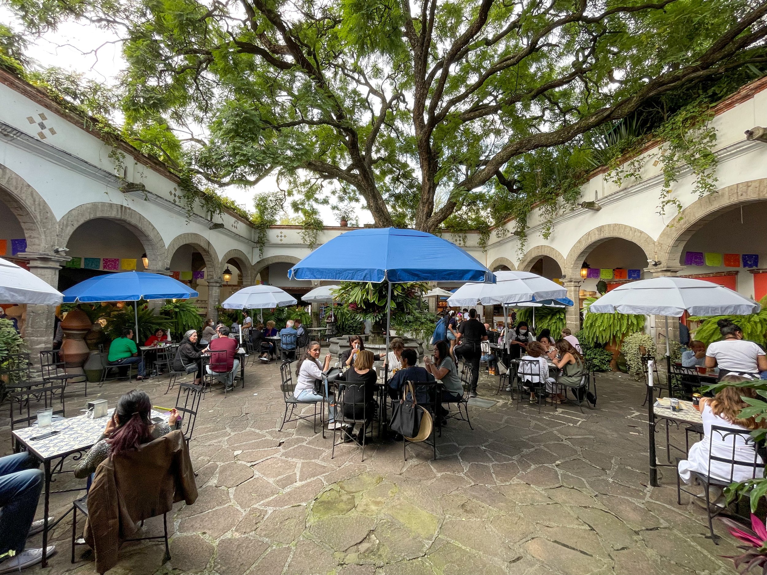 Courtyard restaurant with large tree at the Bazar Sábado