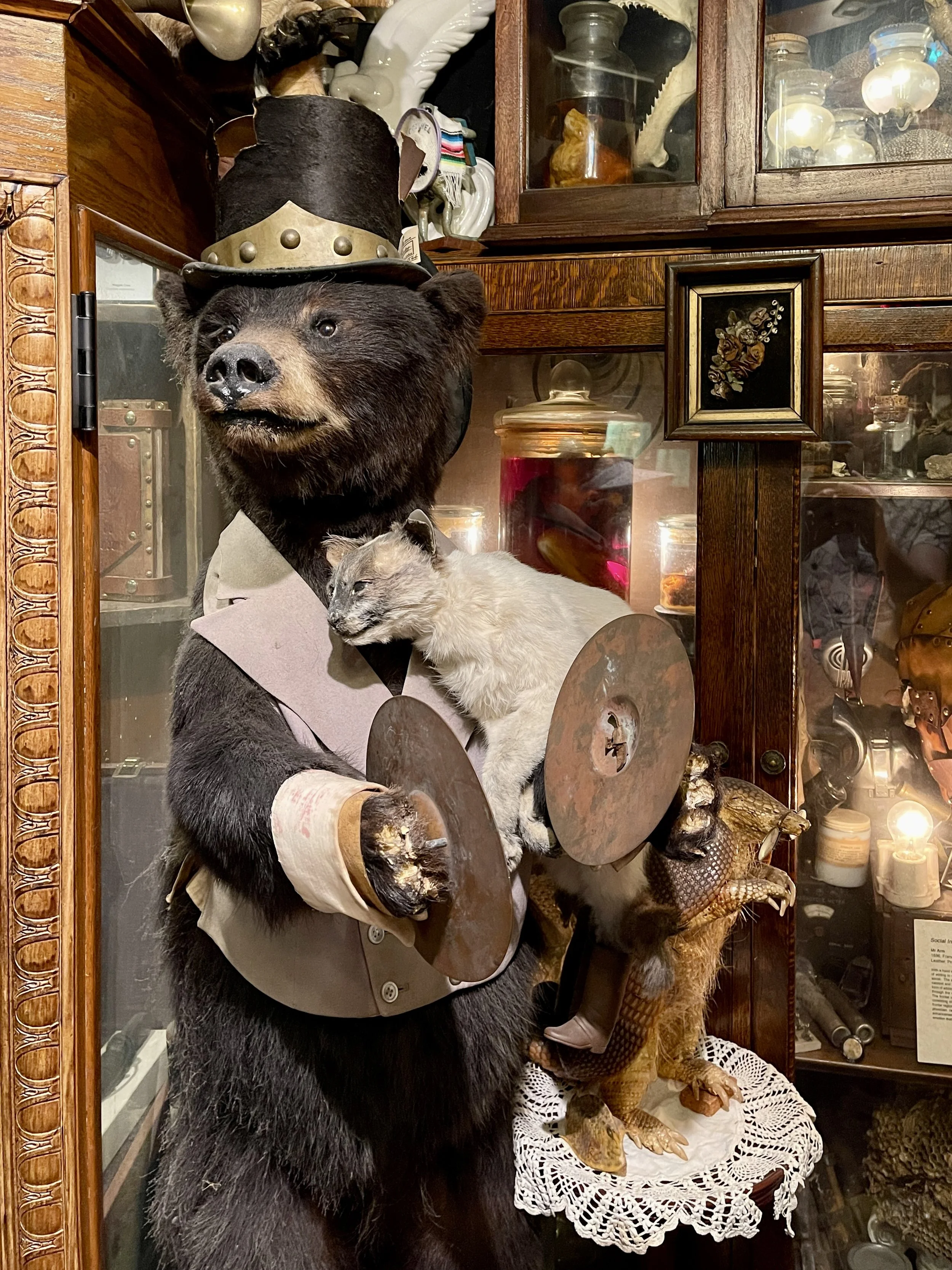 Taxidermied bear with cymbals and cat in its arms in the oddity-filled Trundle Manor dining room