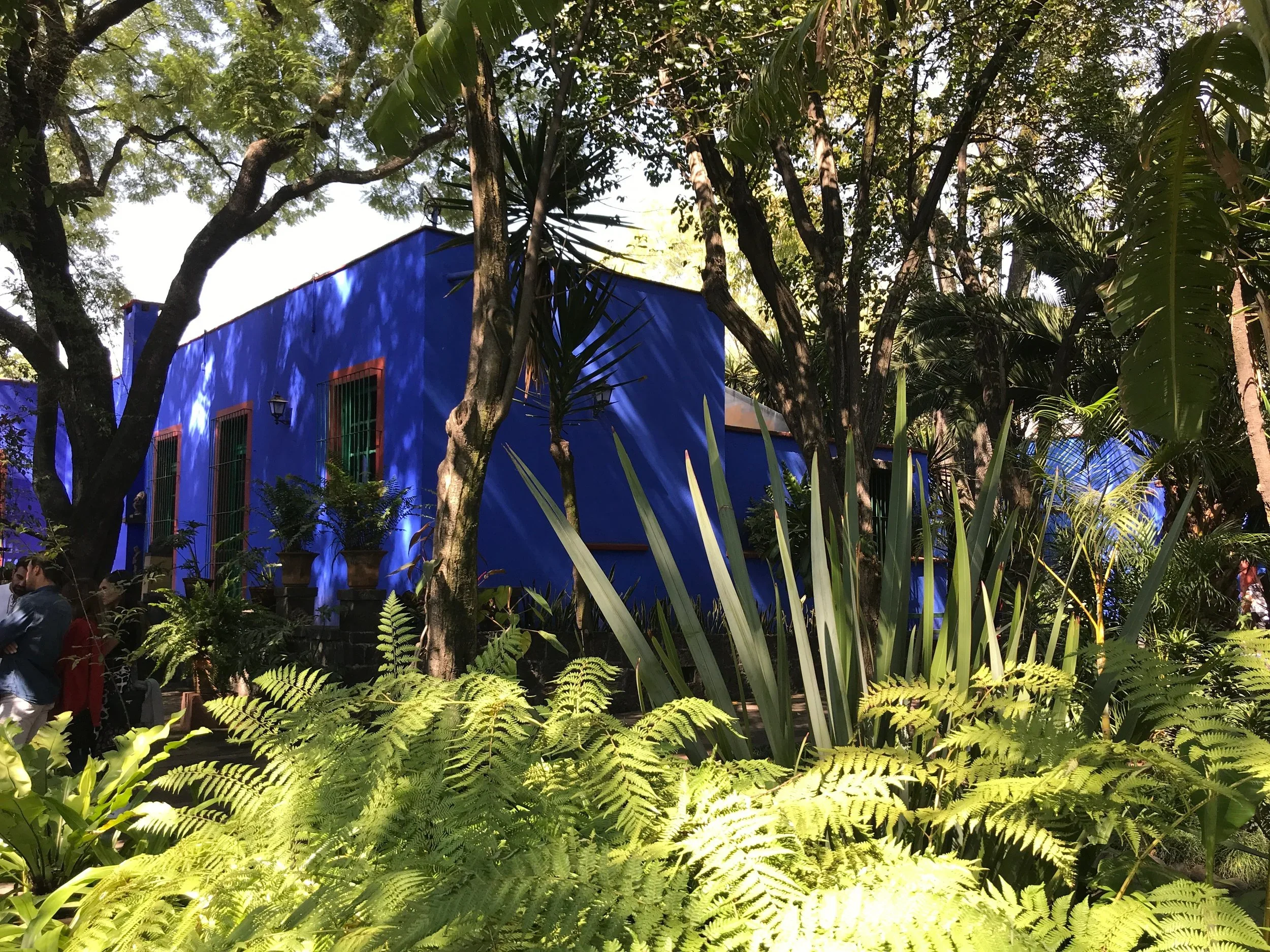 The bright blue Casa Azul, Frida Kahlo's family home, surrounded by greenery, in CDMX