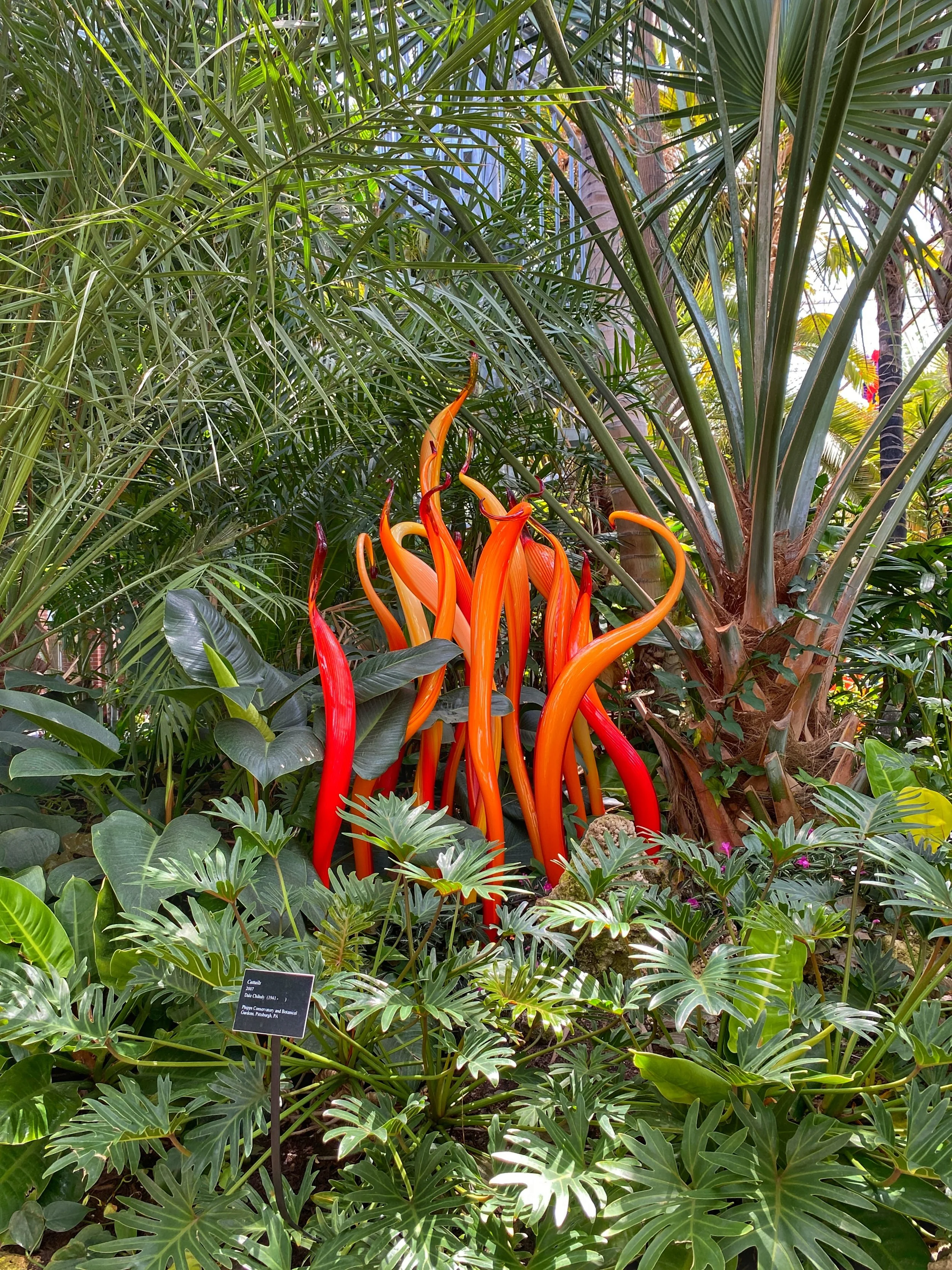 Orangish red glass sculpture called Cattails by Chihuly surrounded by greenery at the Phipps