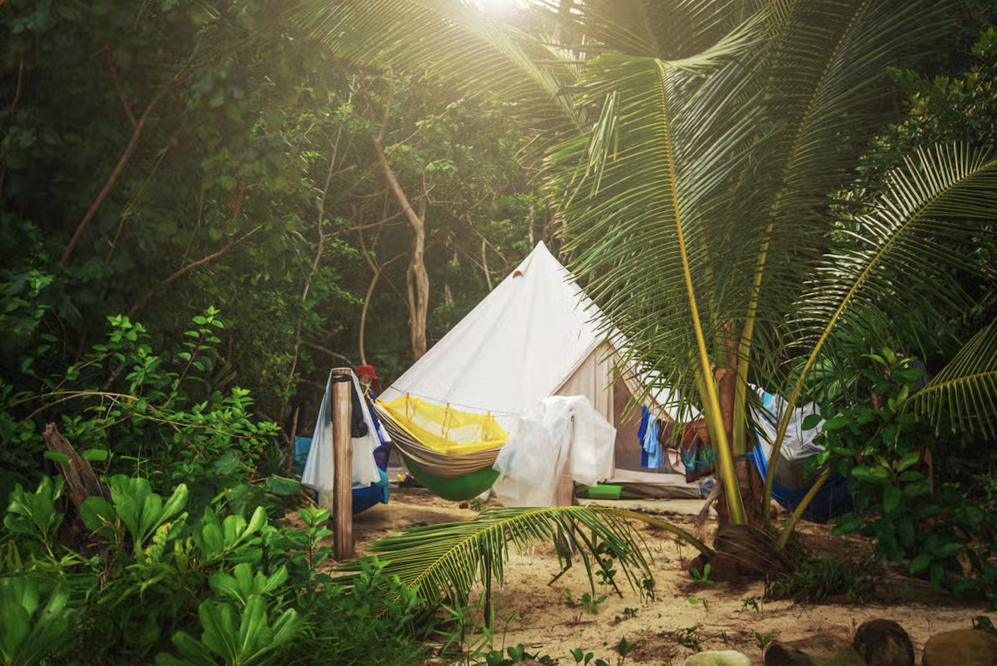 A tent and campsite set up in the Amazon Rainforest in Brazil
