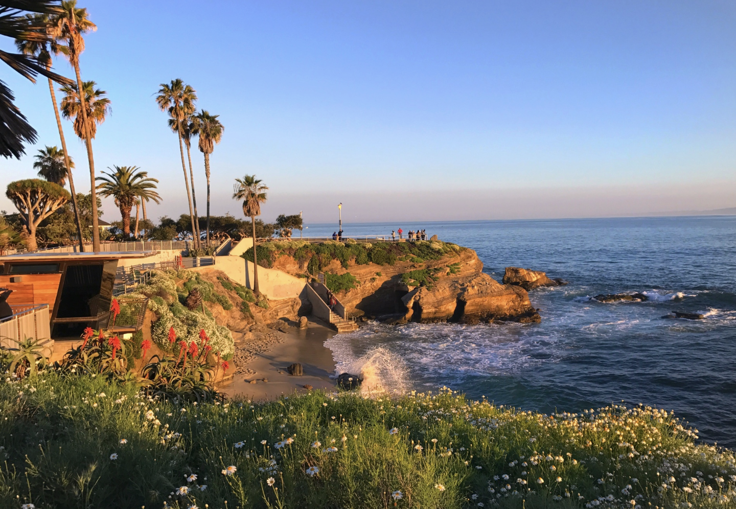 A rocky promontory with flowers and palm trees in San Diego overlooks the Pacific Ocean