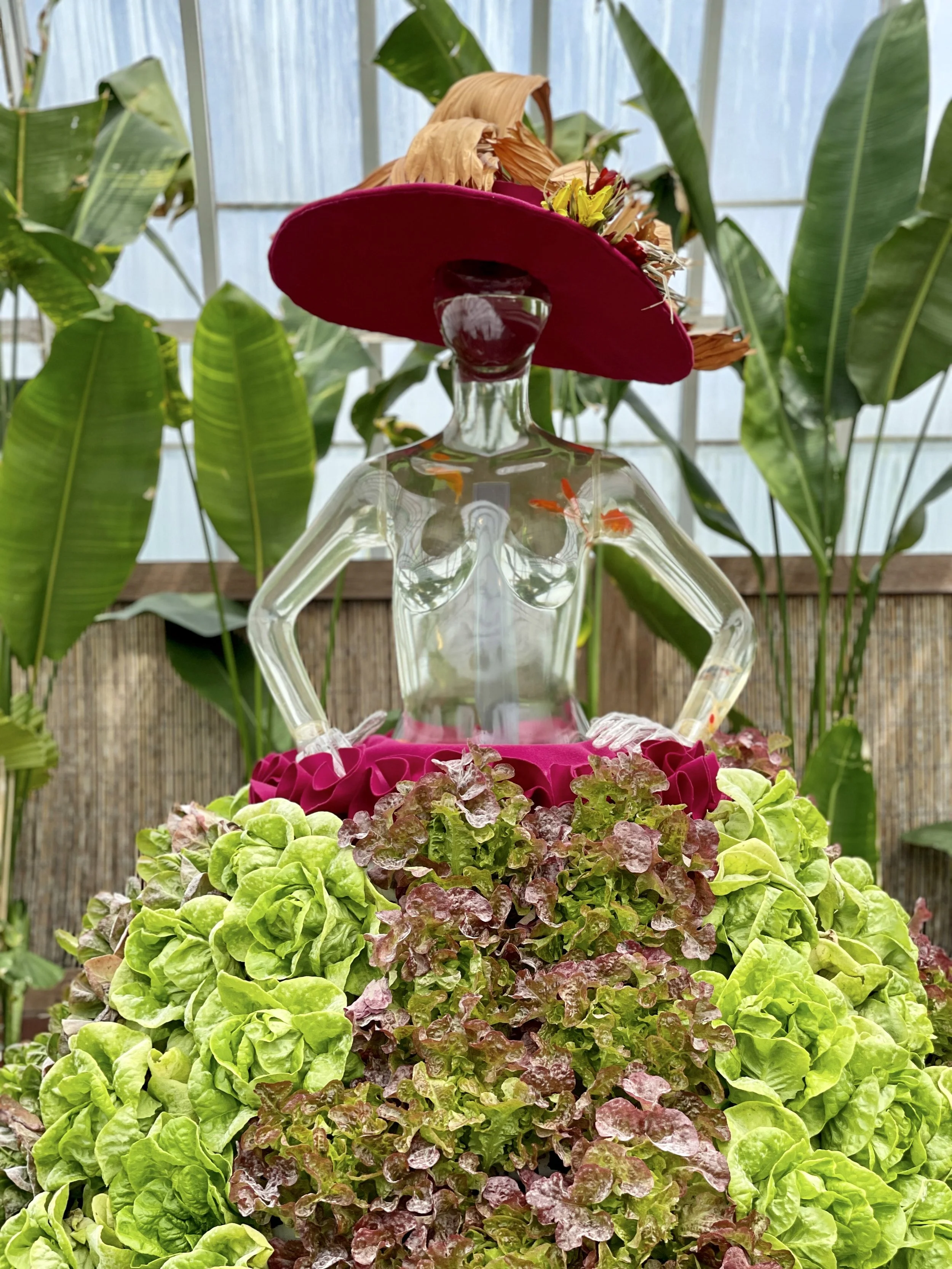 Clear mannequin with orange fish inside it, topped with a red hat and wearing a skirt made of lettuce