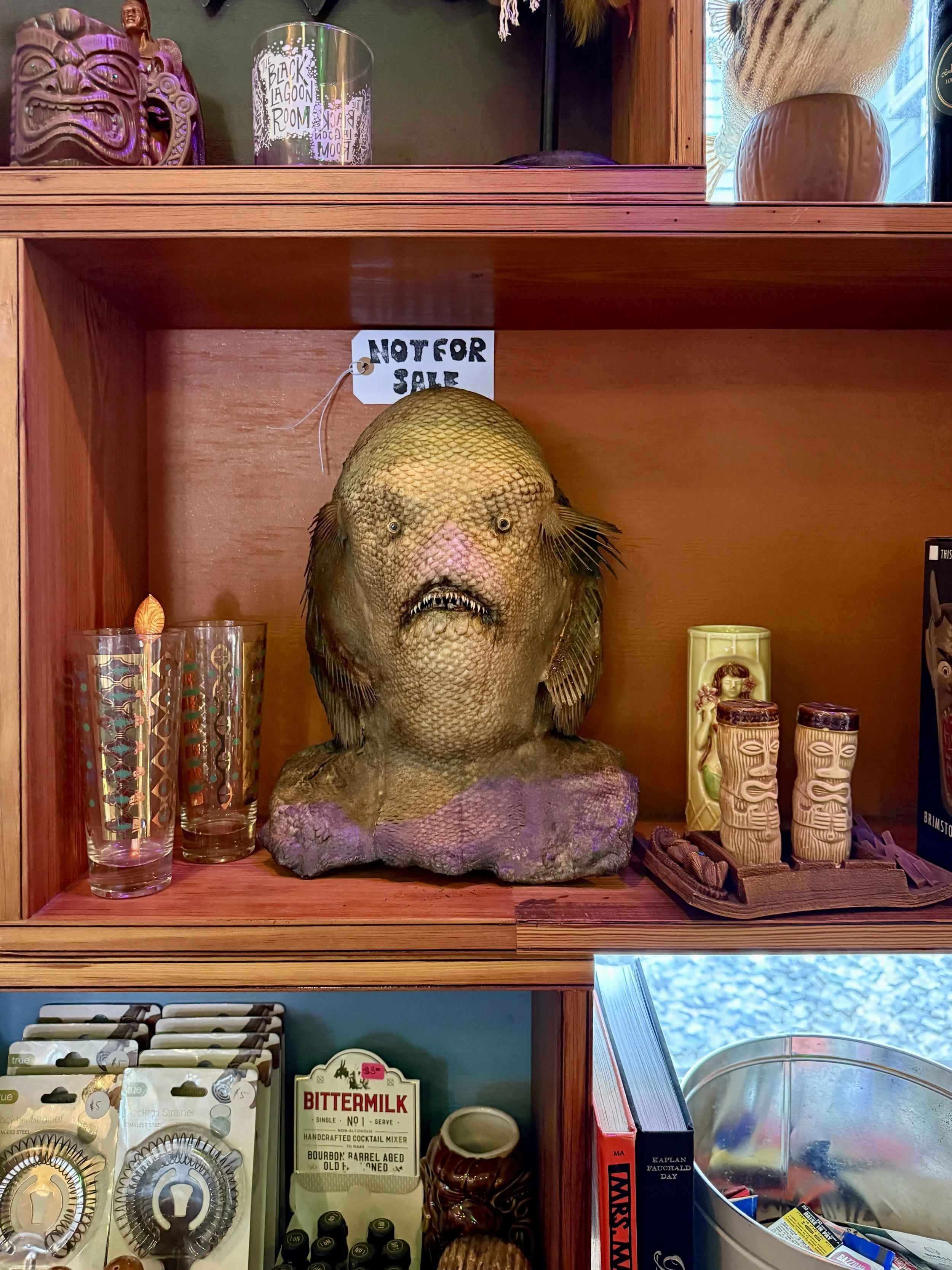 A fishman looking like the Creature from the Black Lagoon on a shelf at Graveface Records in Savannah (not for sale)