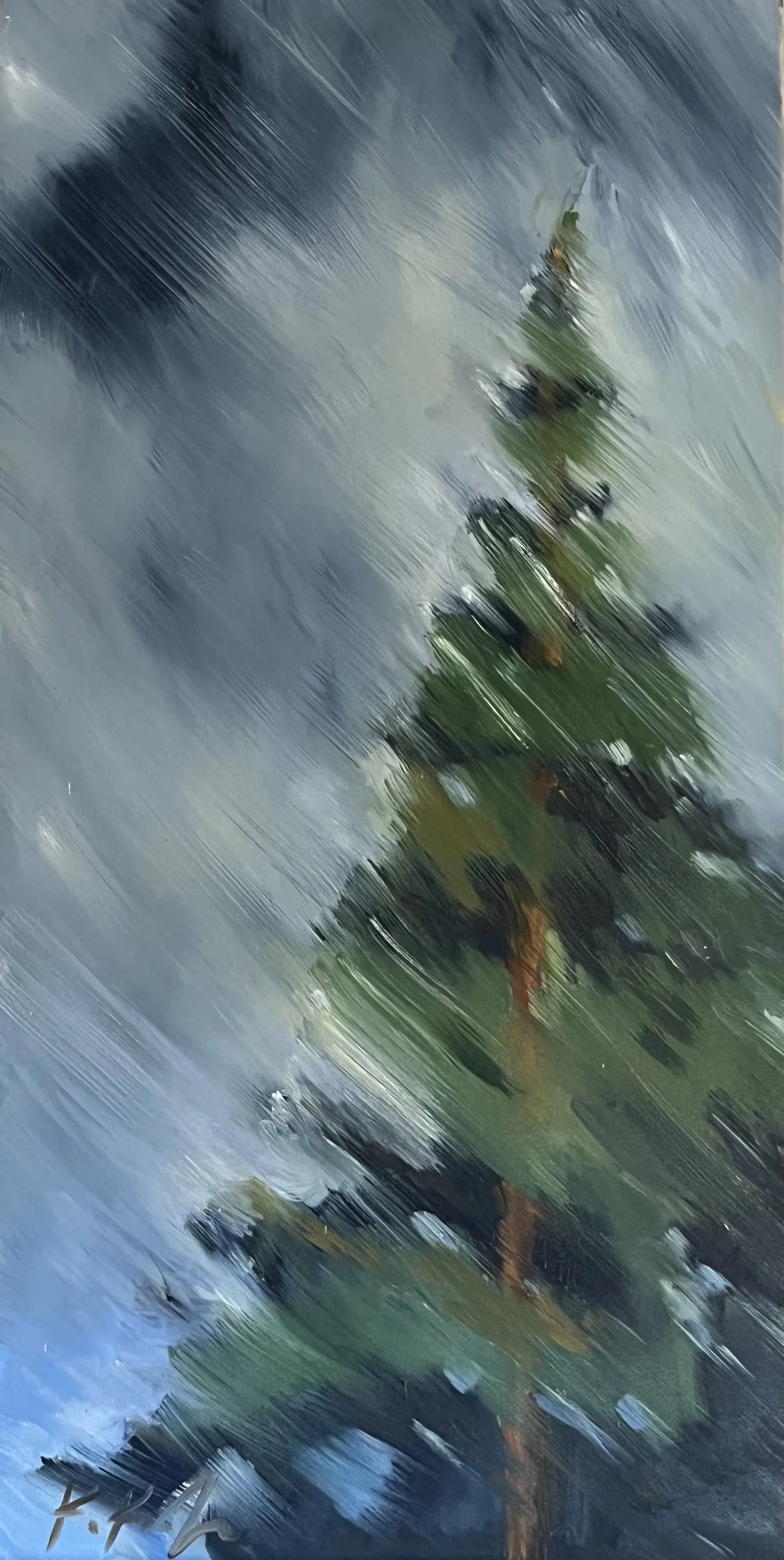 May Storm15x30.jpeg