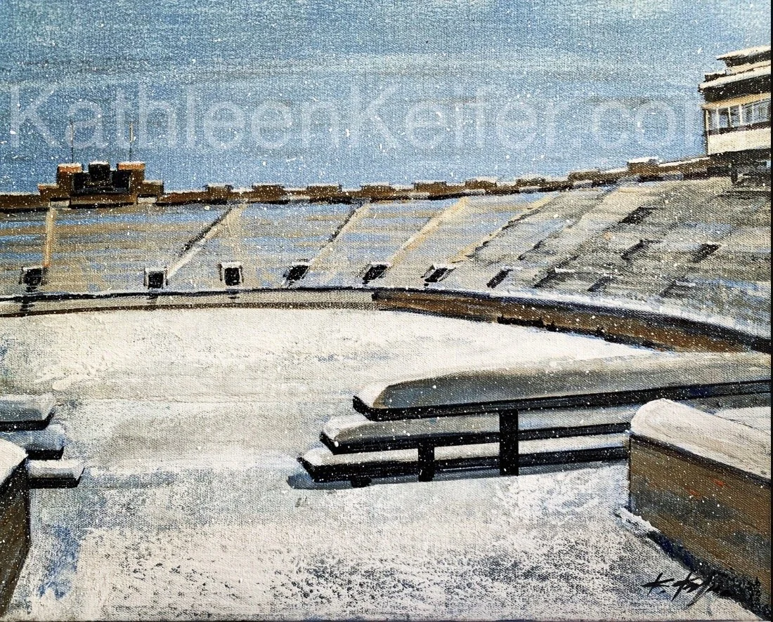 Silent Stadium LE 100 WM.jpeg