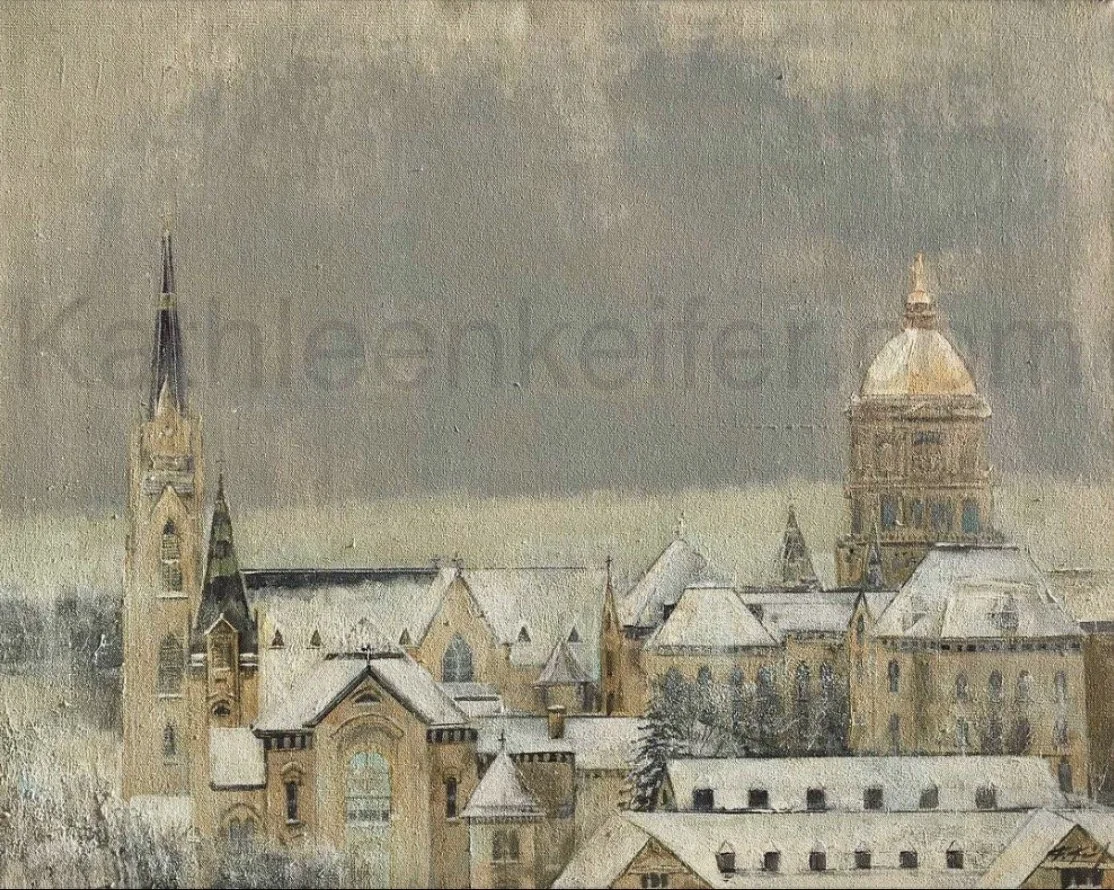 Toit Enneige de Notre Dame LE 100 WM.jpeg