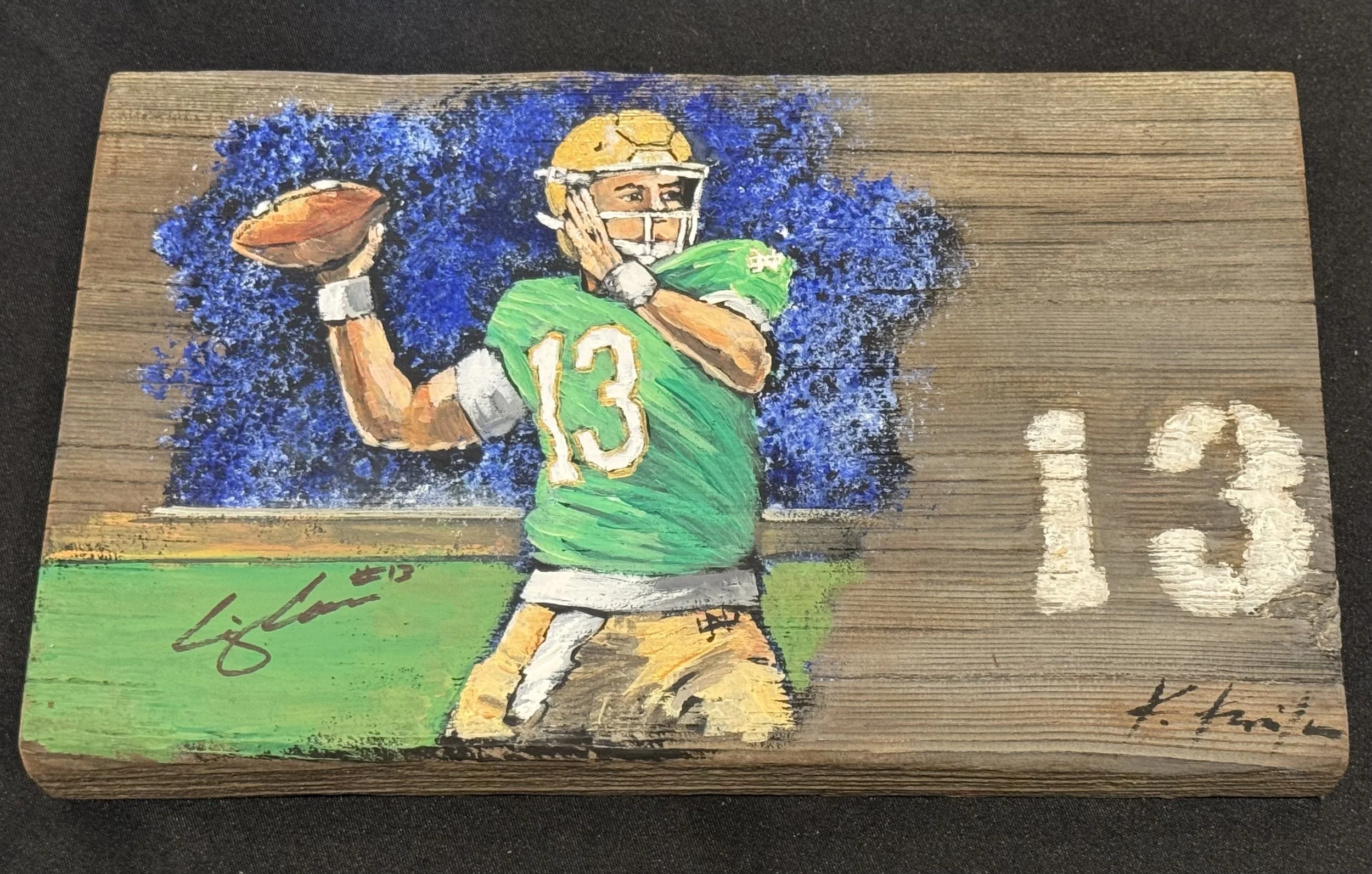 Seeing the Field  12x7x1.5.jpeg