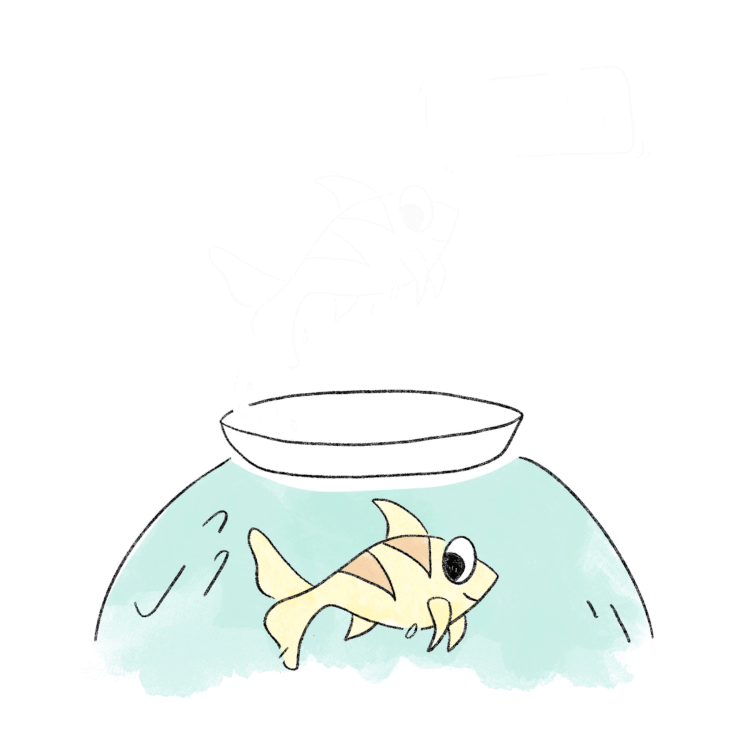 2020-08-05.gif