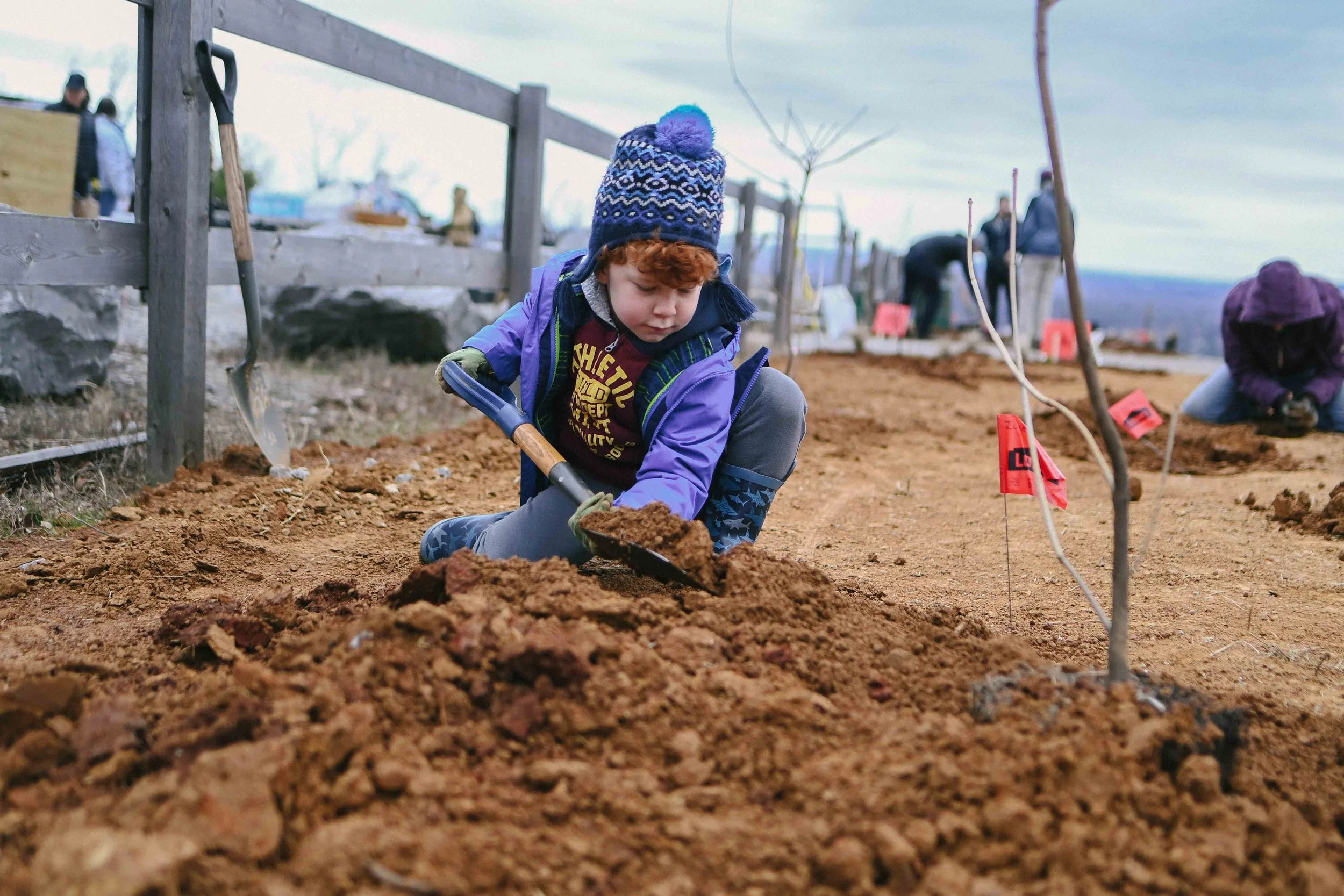 Pollinator Garden Blevins Gap Nature Preserve-78.jpg