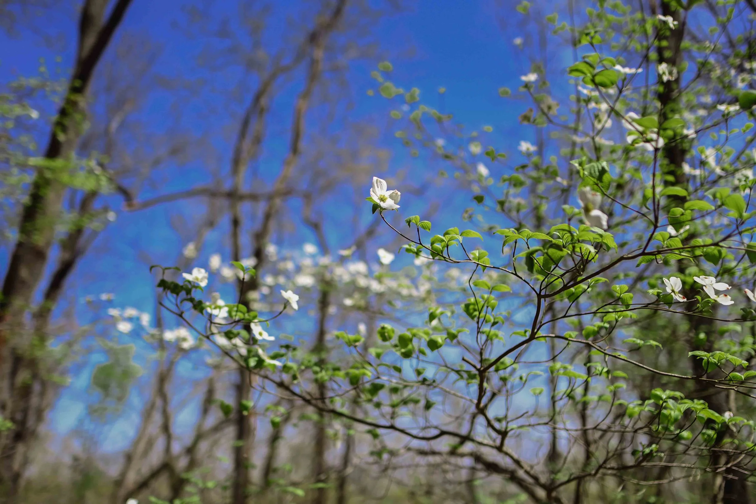 Rainbow Mountain-21.jpg