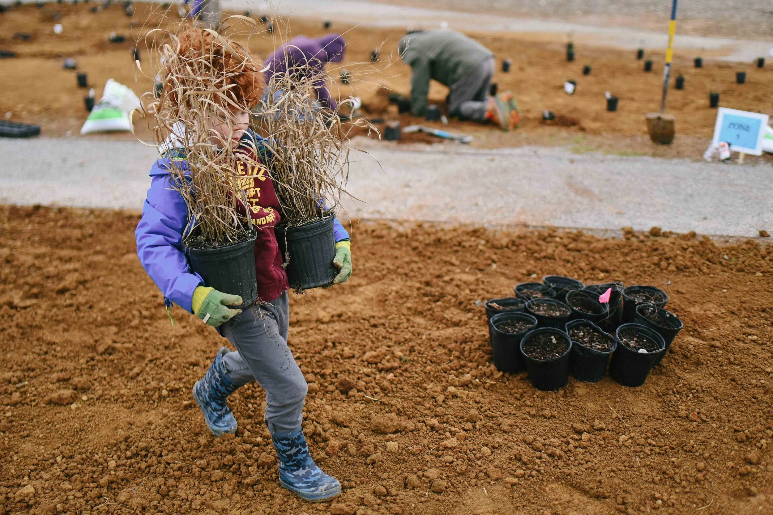 Pollinator Garden Blevins Gap Nature Preserve-111.jpg