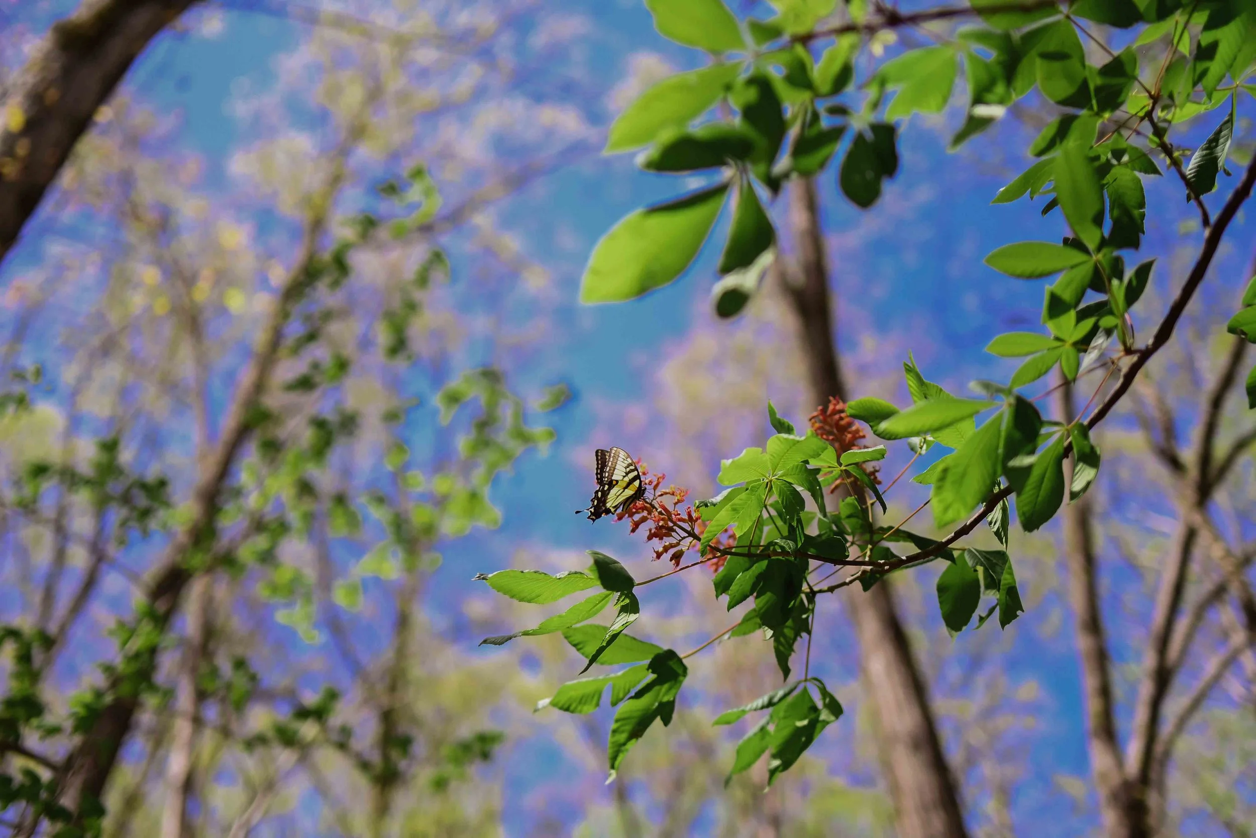 Rainbow Mountain-46.jpg