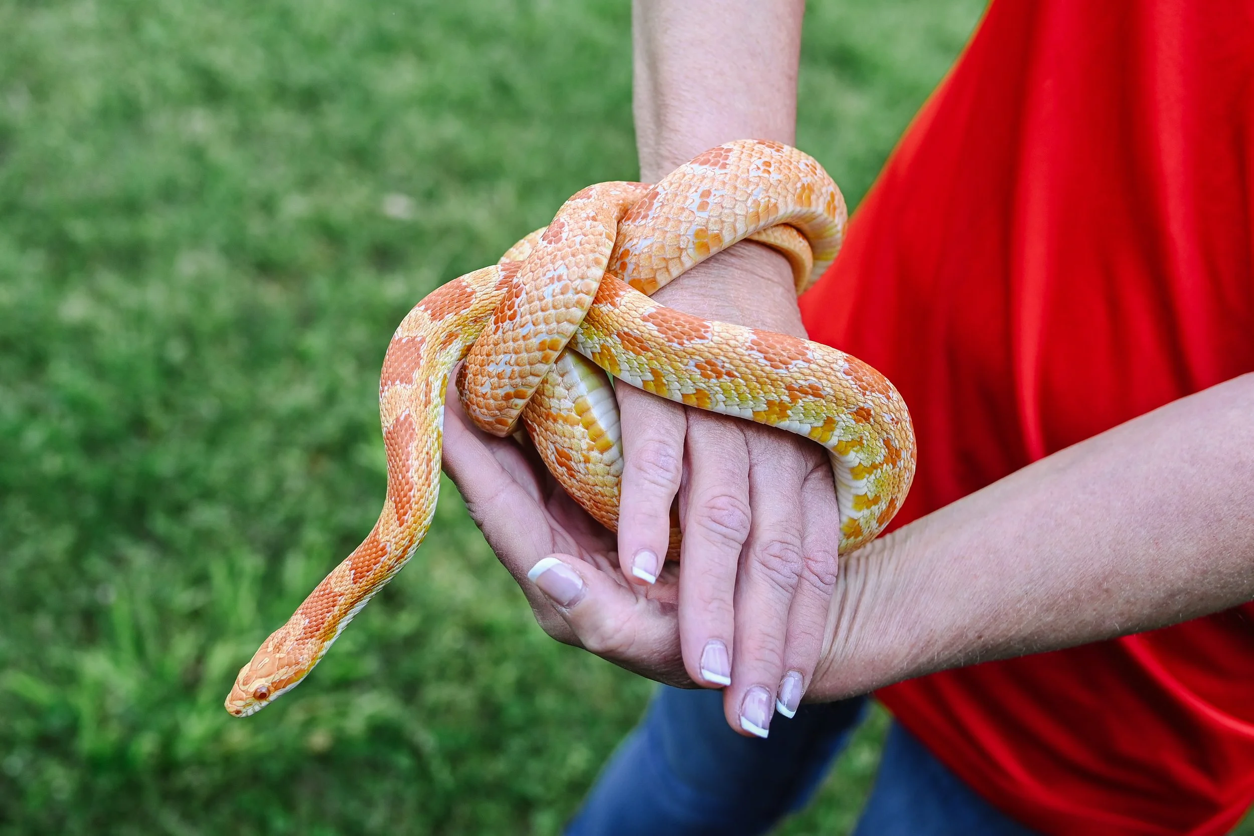 STEM Preserve Sat April 27-8478.jpg