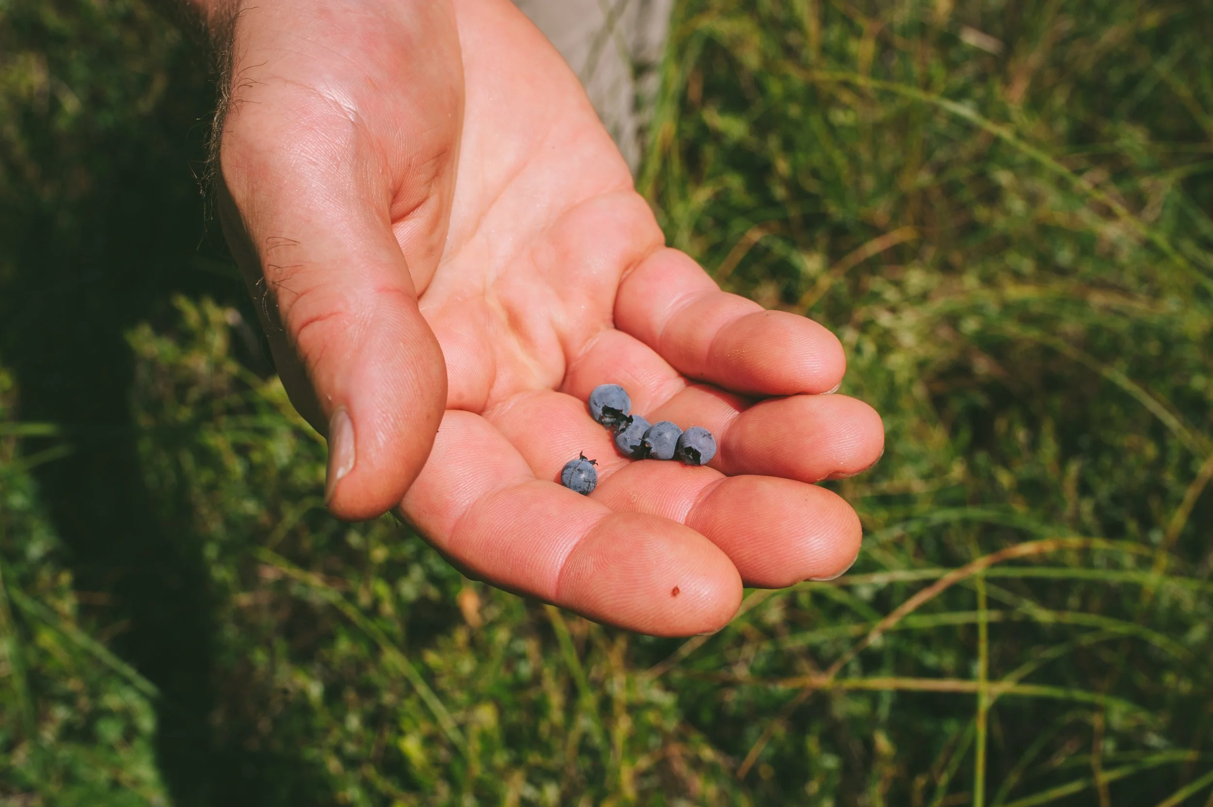 Wildlands Conservancy - Thomas Darling 7.20.2020-9056.jpg