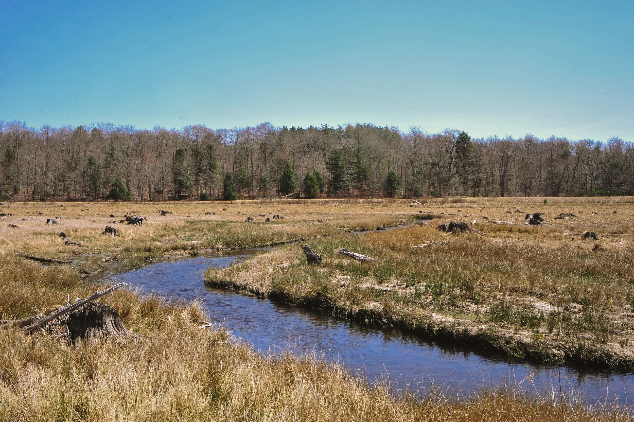Klondike site just outside Gouldsboro, PA 4.26.21-32.jpg