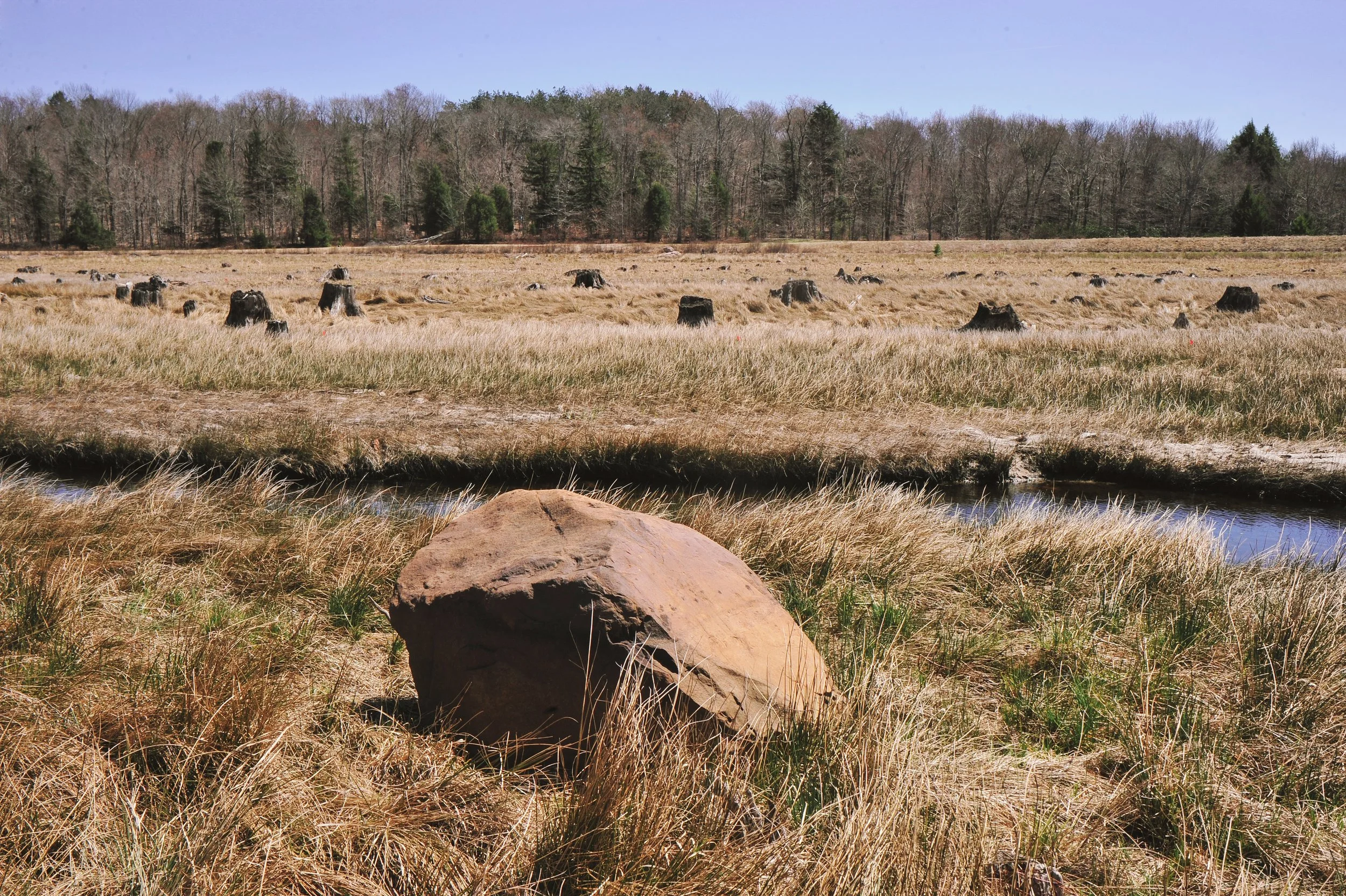 Klondike site just outside Gouldsboro, PA 4.26.21-40.jpg