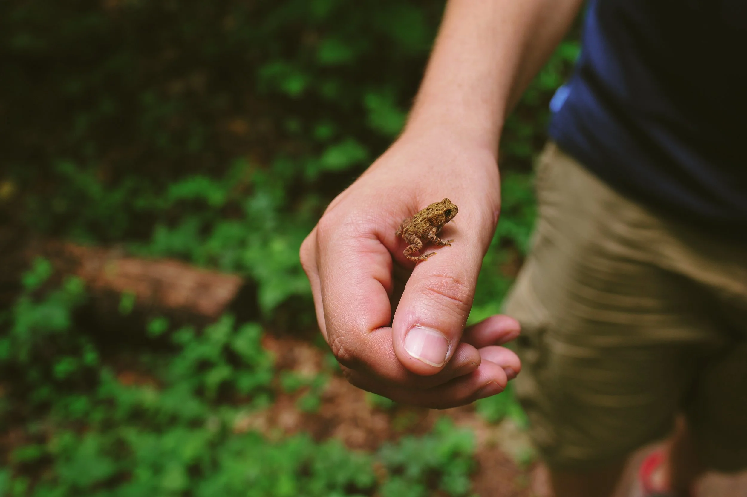 South Mountain Perserve Alpine St Trail 7.12.2019-4071.jpg