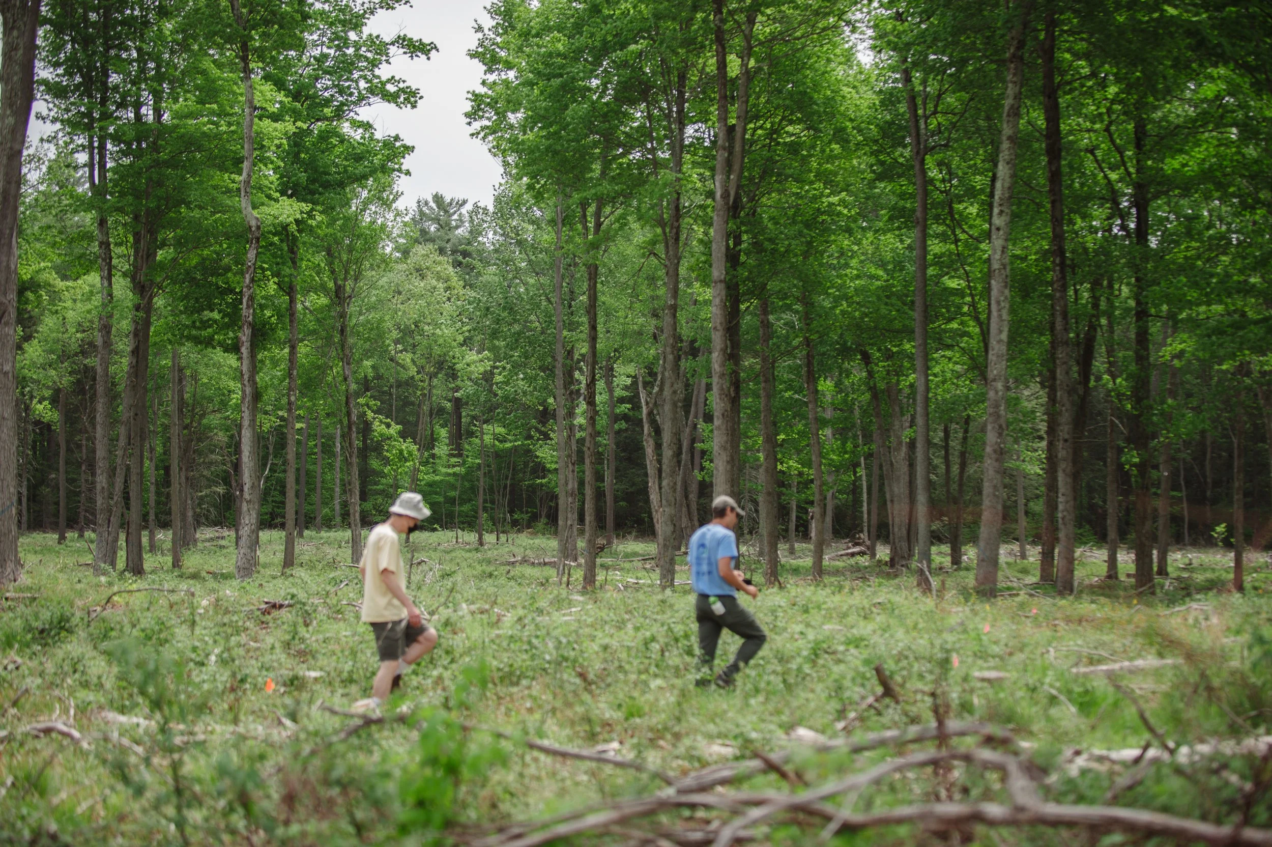 Thomas Darling Perserve Opening 5.22.21-7043.jpg