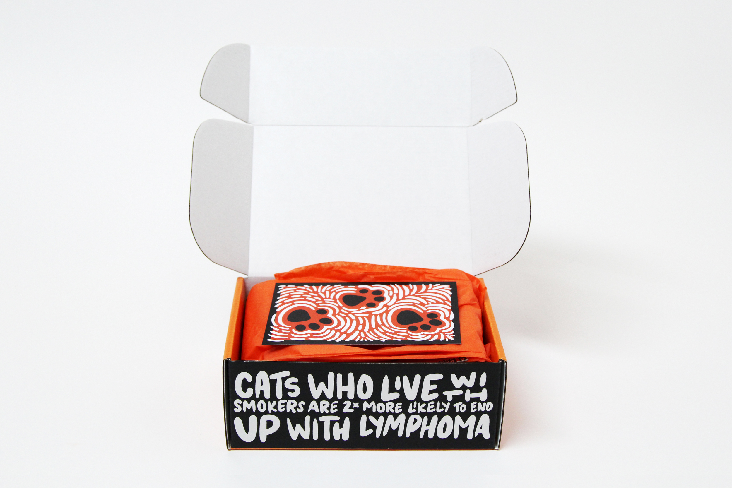 BOX_merch_FRONT_OPEN_2.jpg