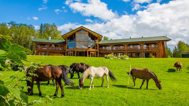 bear claw lodge.jpeg
