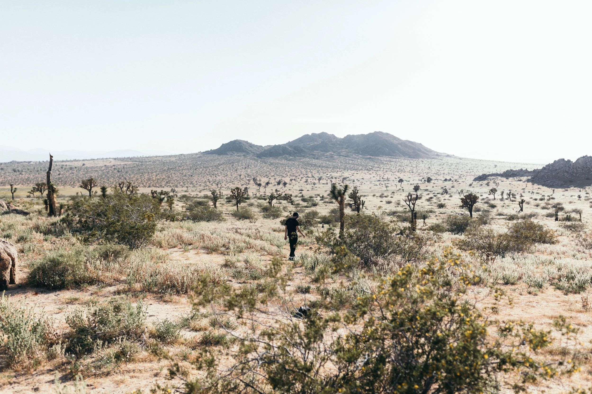 Mitch searching for more desert bones.