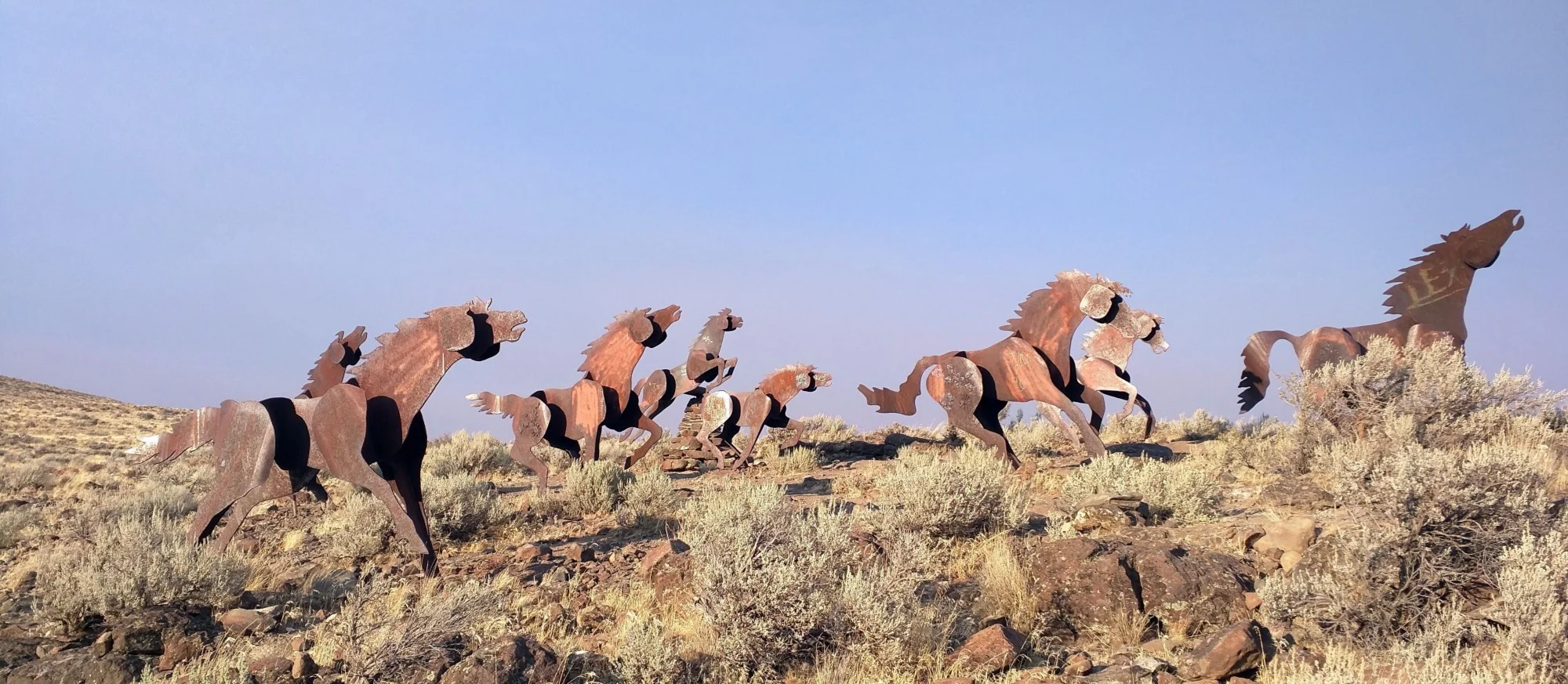 Grandfather Cuts Loose the Ponies