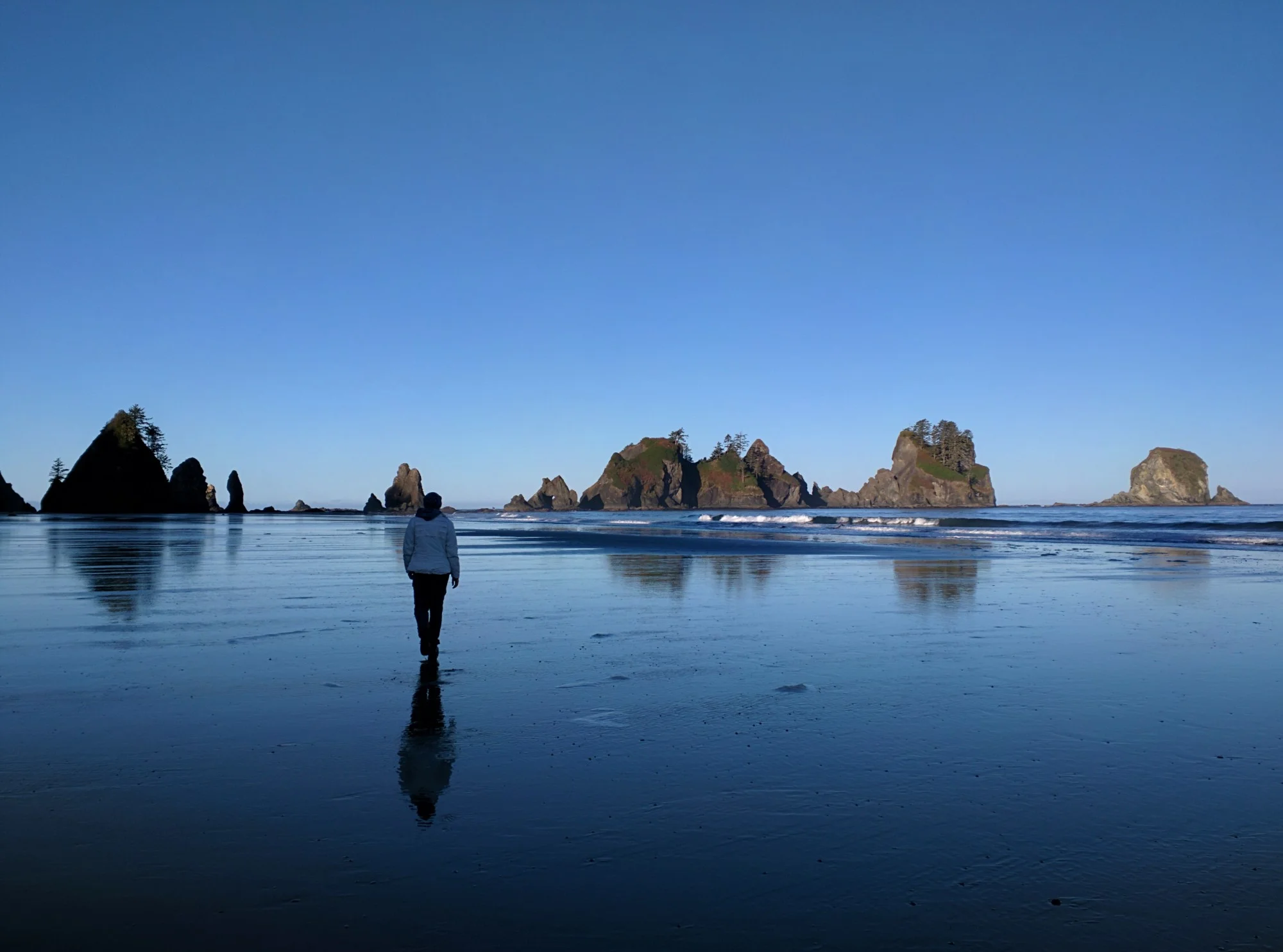 Shi Shi Beach & Trail