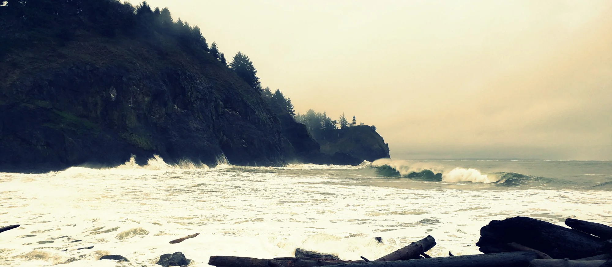 Exploring Cape Disappointment State Park