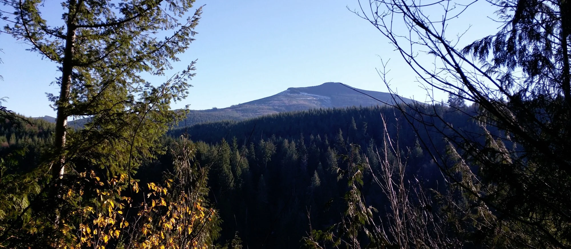 Mud Mountain Rim Trail