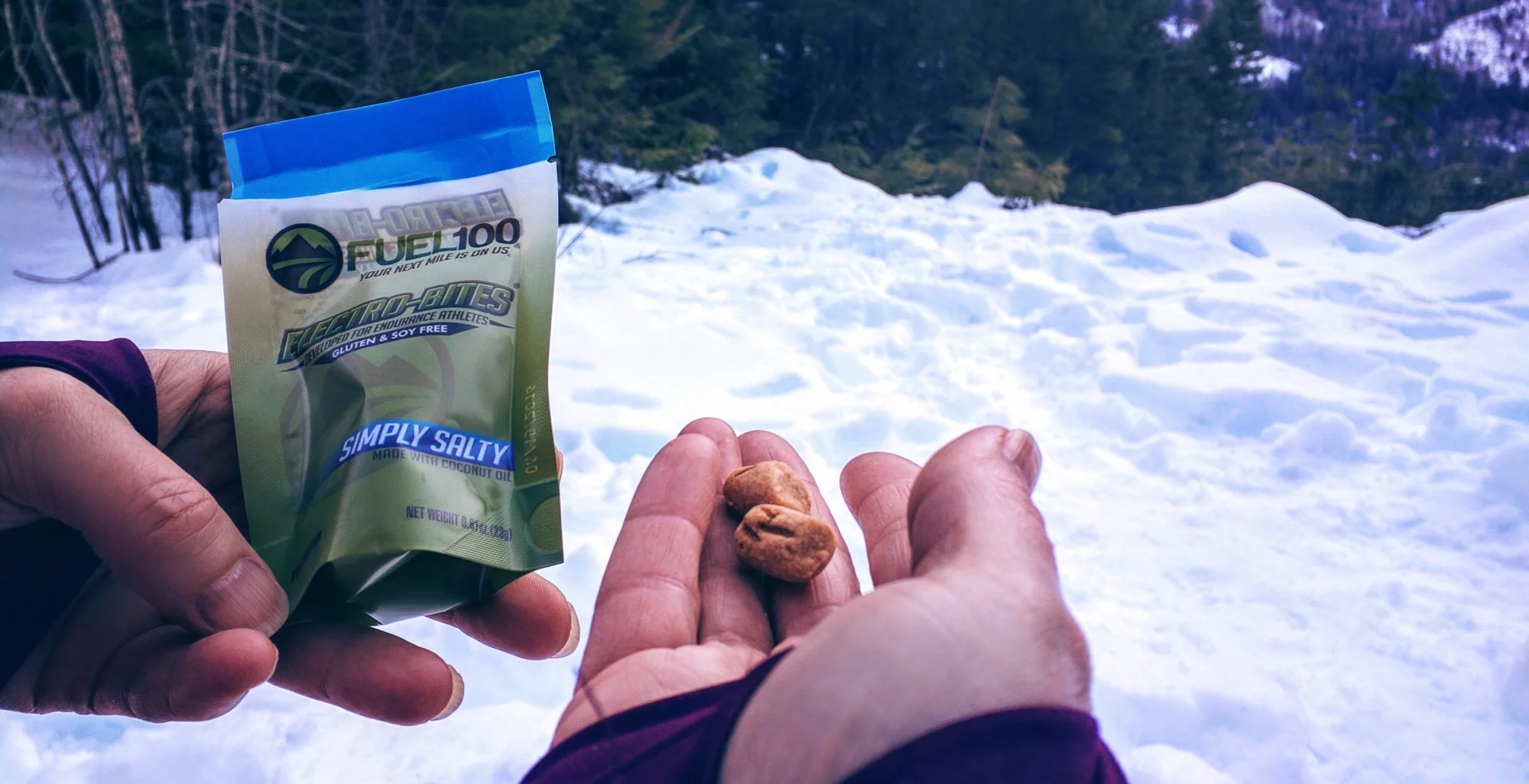 Our Review of Electro-Bites by Fuel100