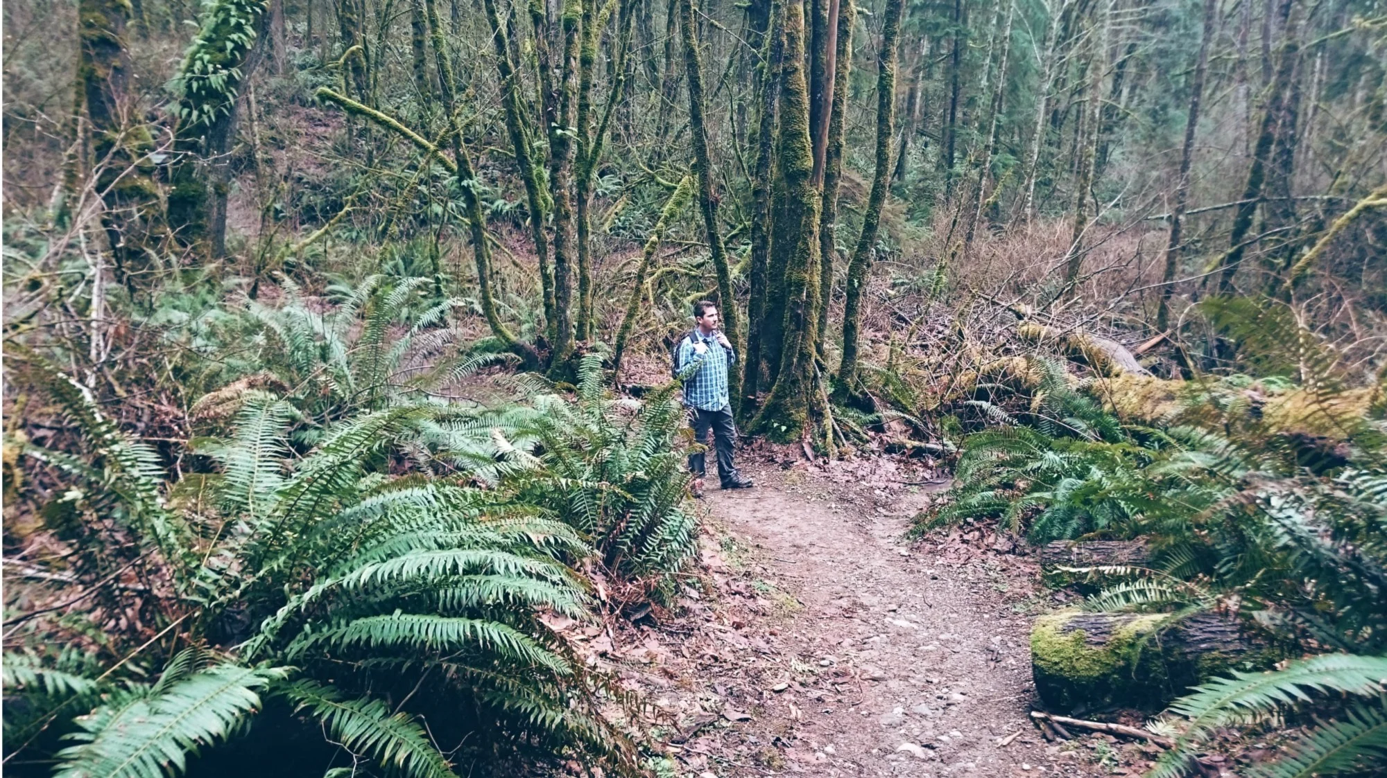 Cougar Mountain Regional Wildland Park