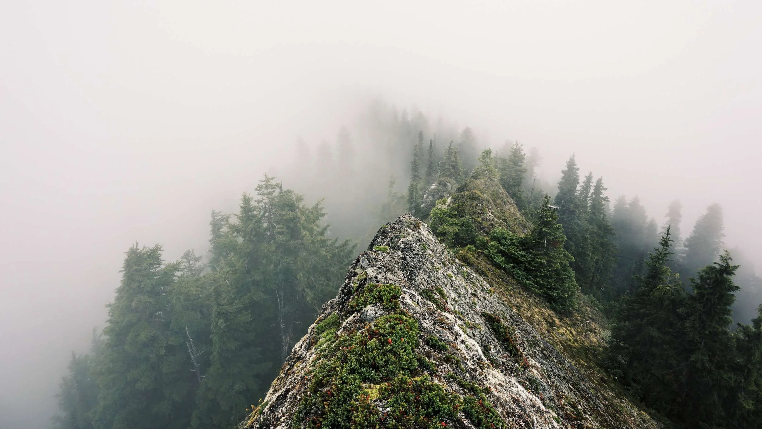A Foggy Hike to Glacier View