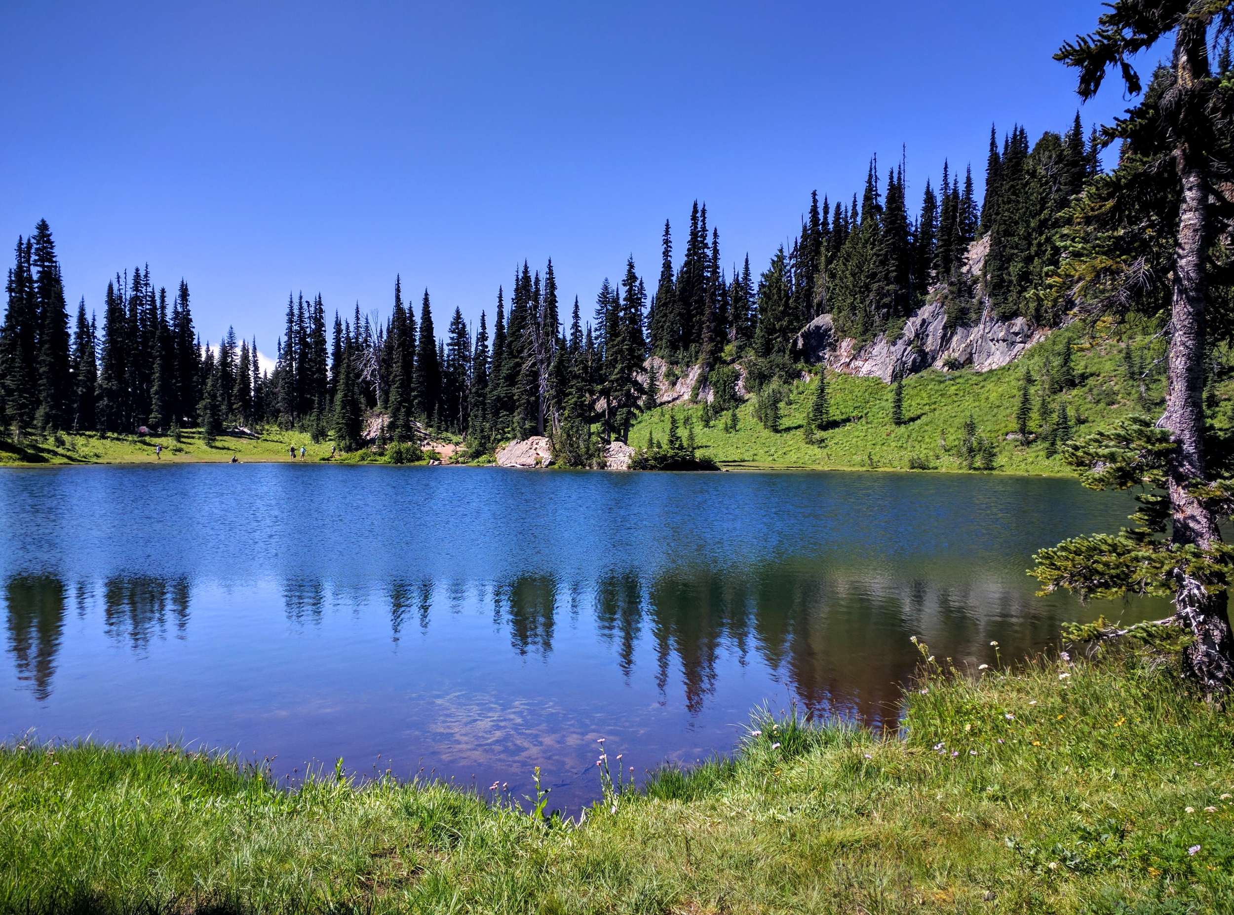 Hiking the Pacific Crest Trail to Sheep Lake — Pacific North Wanderers