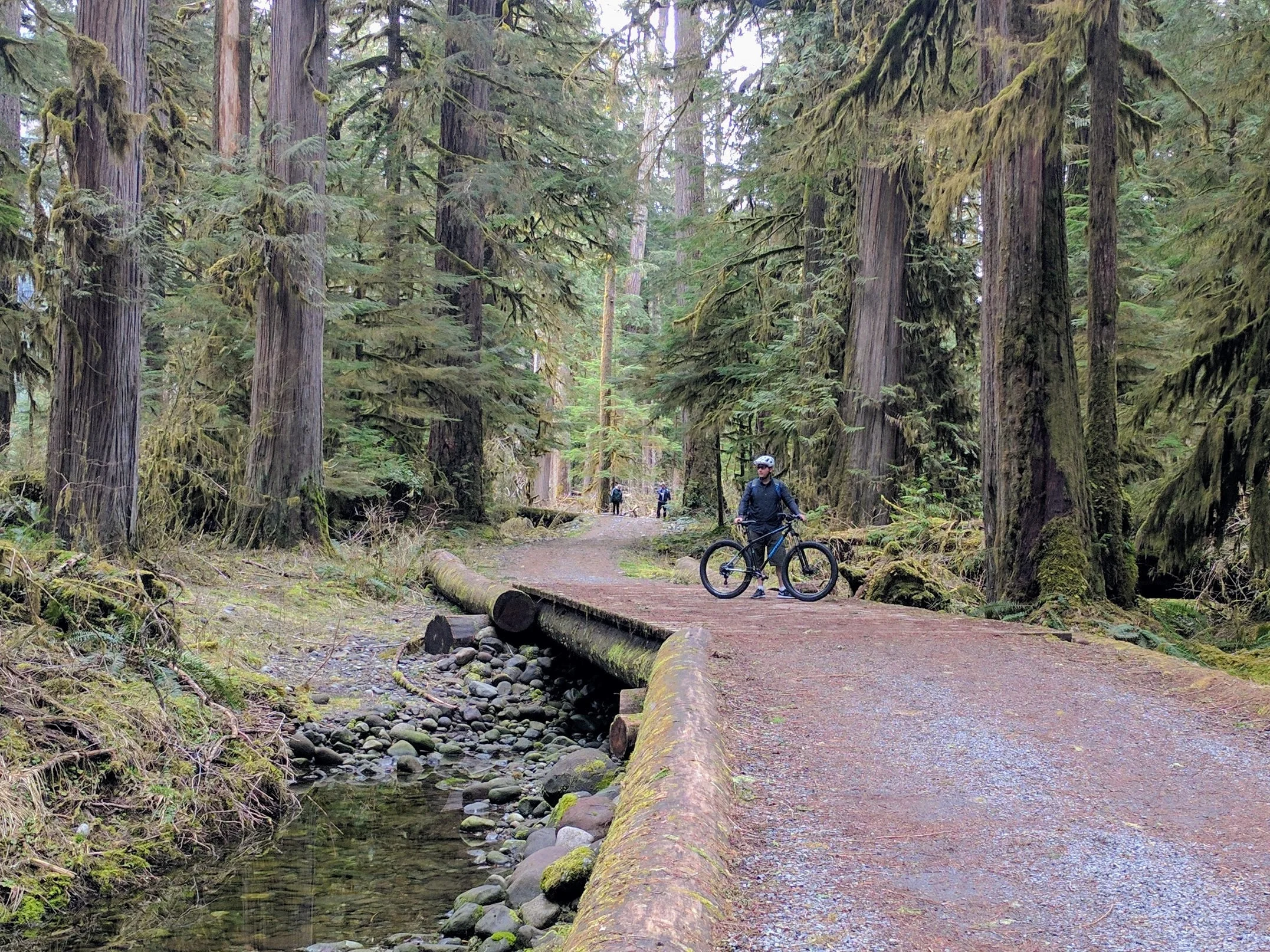 Breaking In Our New Bikes On Carbon River Road In Mount Rainier
