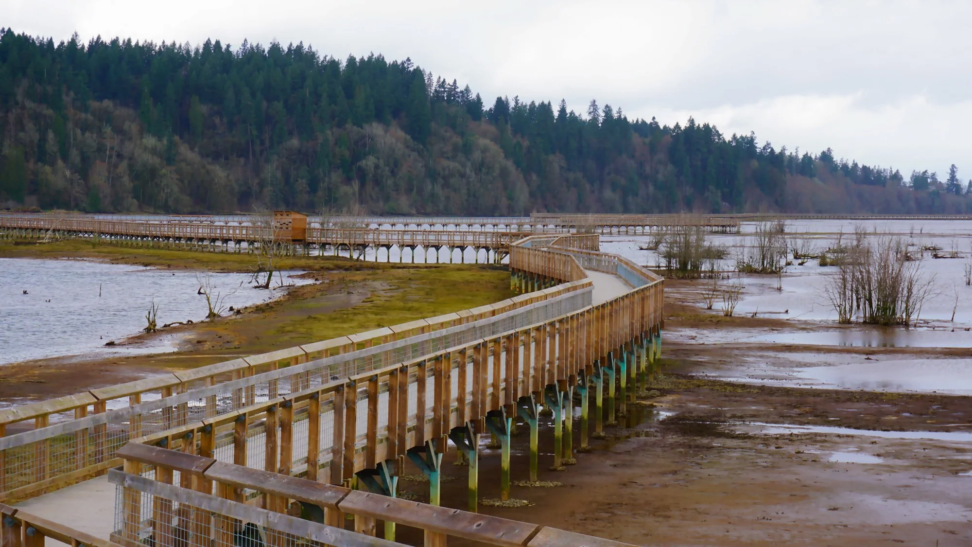 Nisqually National Wildlife Refuge - Pacific North Wanderers.jpg