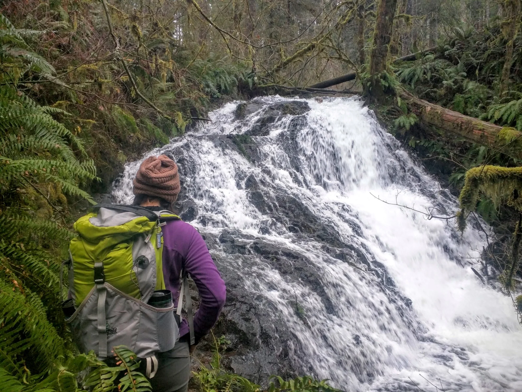 Mima Falls - Pacific North Wanderers.jpg