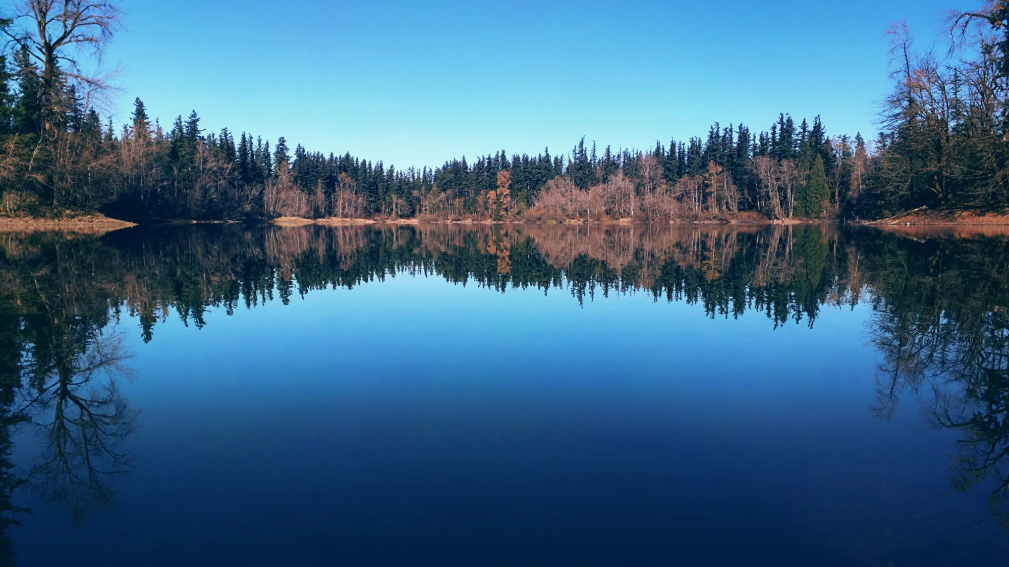 Nolte State Park - Pacific North Wanderers.jpg
