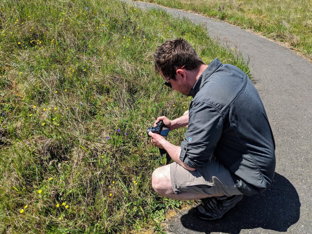 Taking photos of the many flowers at Mima Mounds