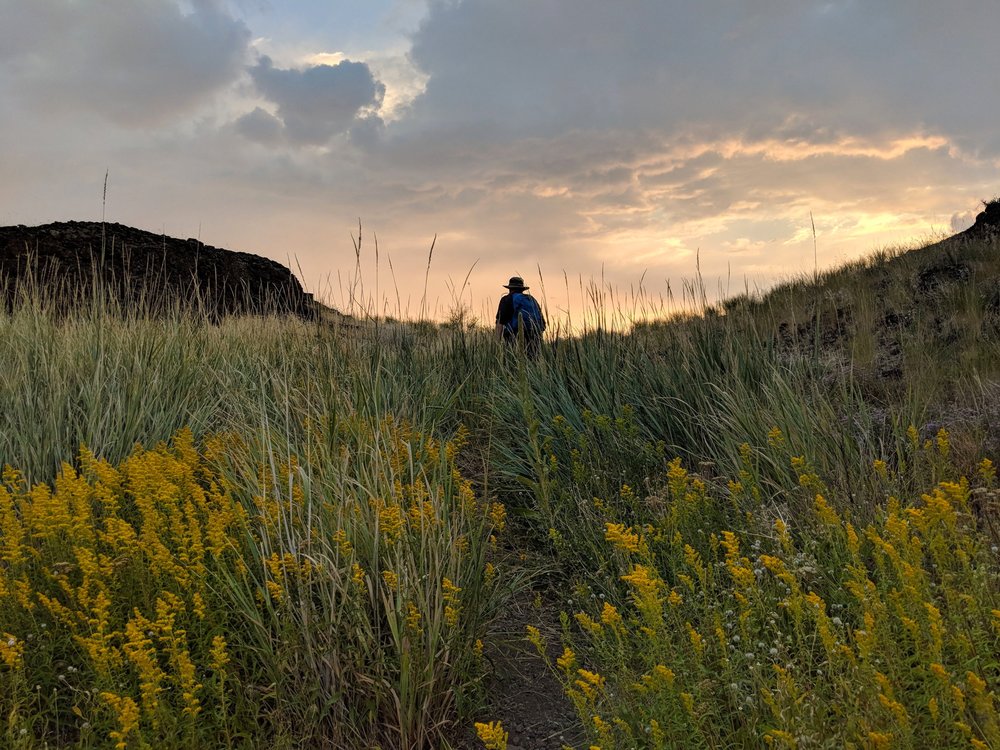 Hiking through flowers and grasses