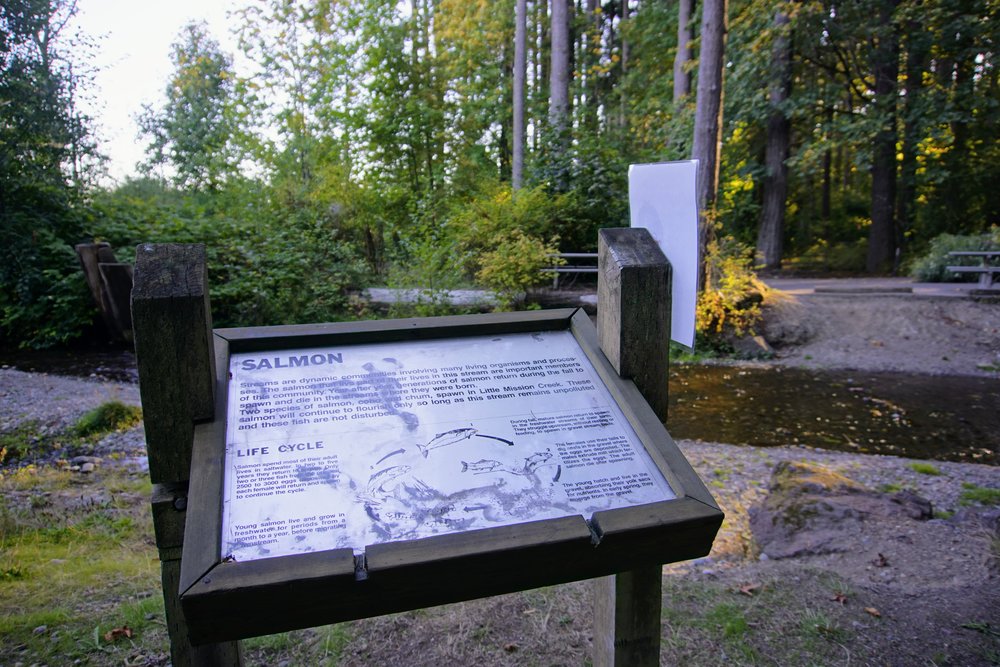 Interpretive sign