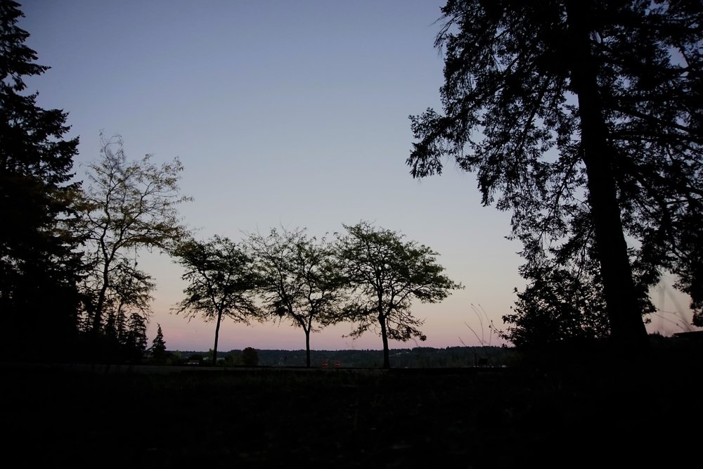 Dusk at Belfair State Park