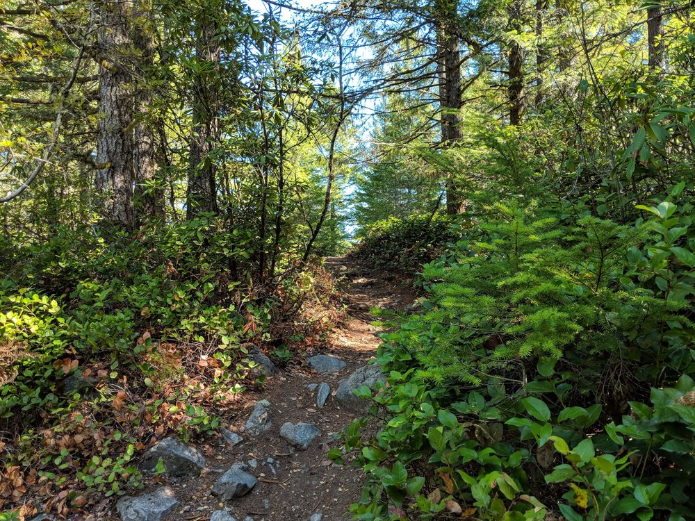 Hiking Gold Creek Trail