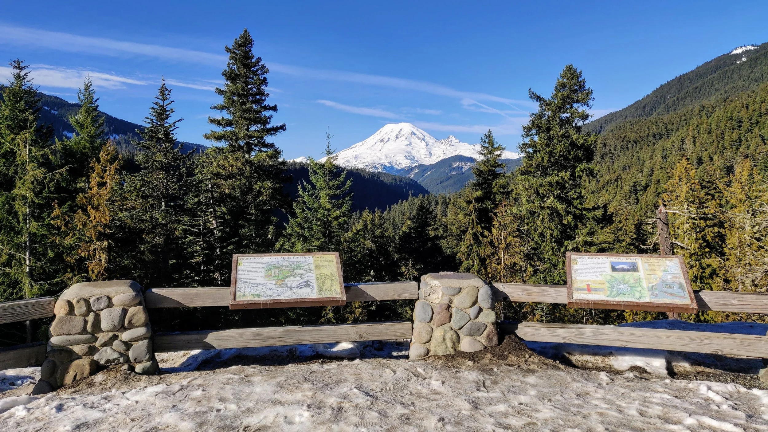 Rainier Viewpoint on drive to White Pass
