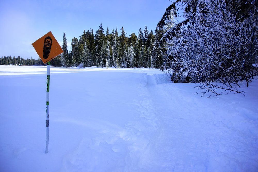 Snowshoe trail marker