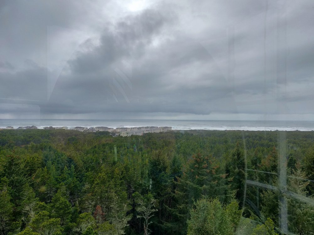 View from Grays Harbor Lighthouse