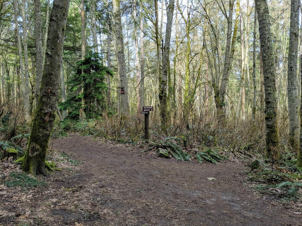 Trail intersection at Dash Point State Park.jpg