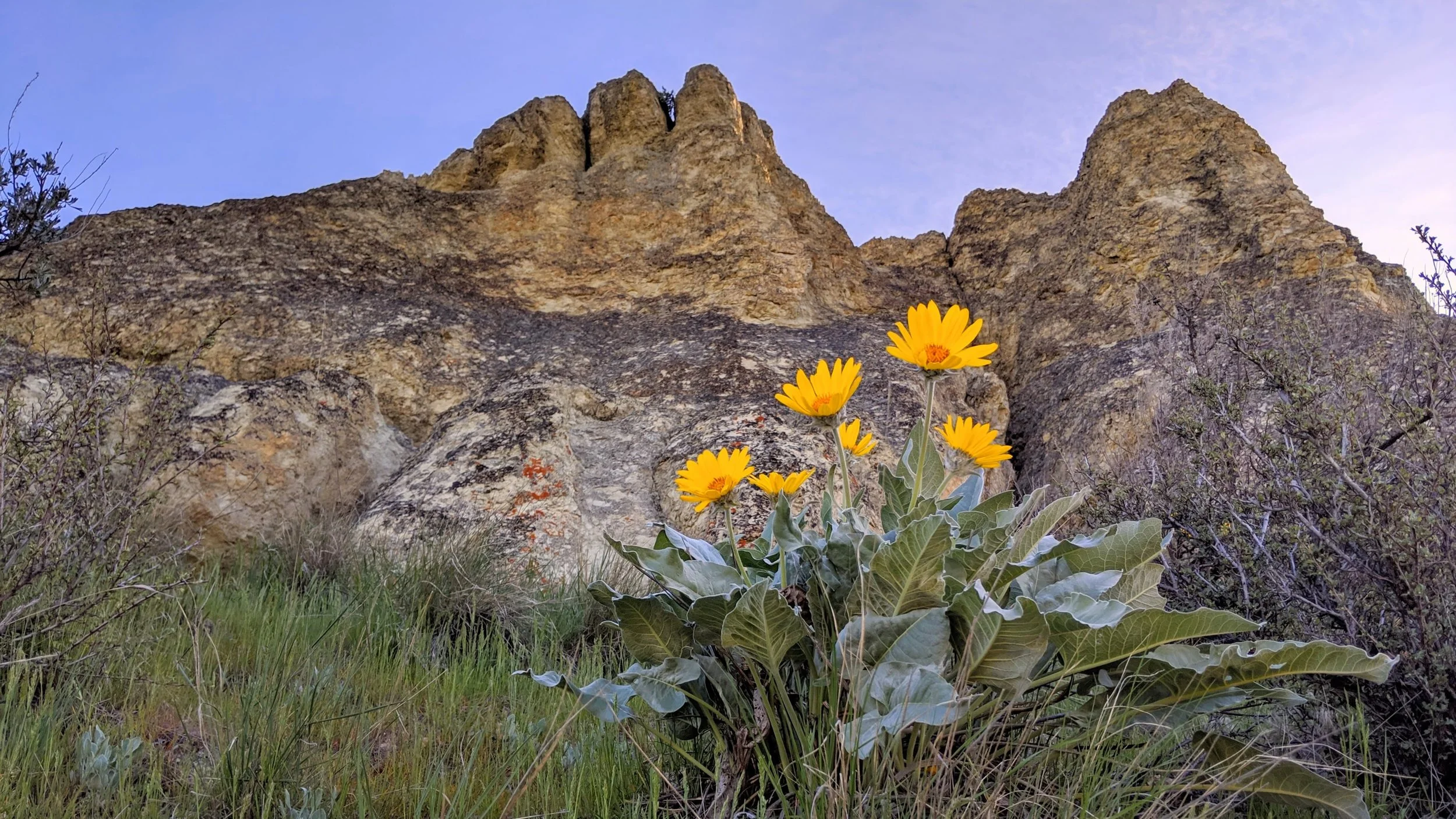 Saddle Rock