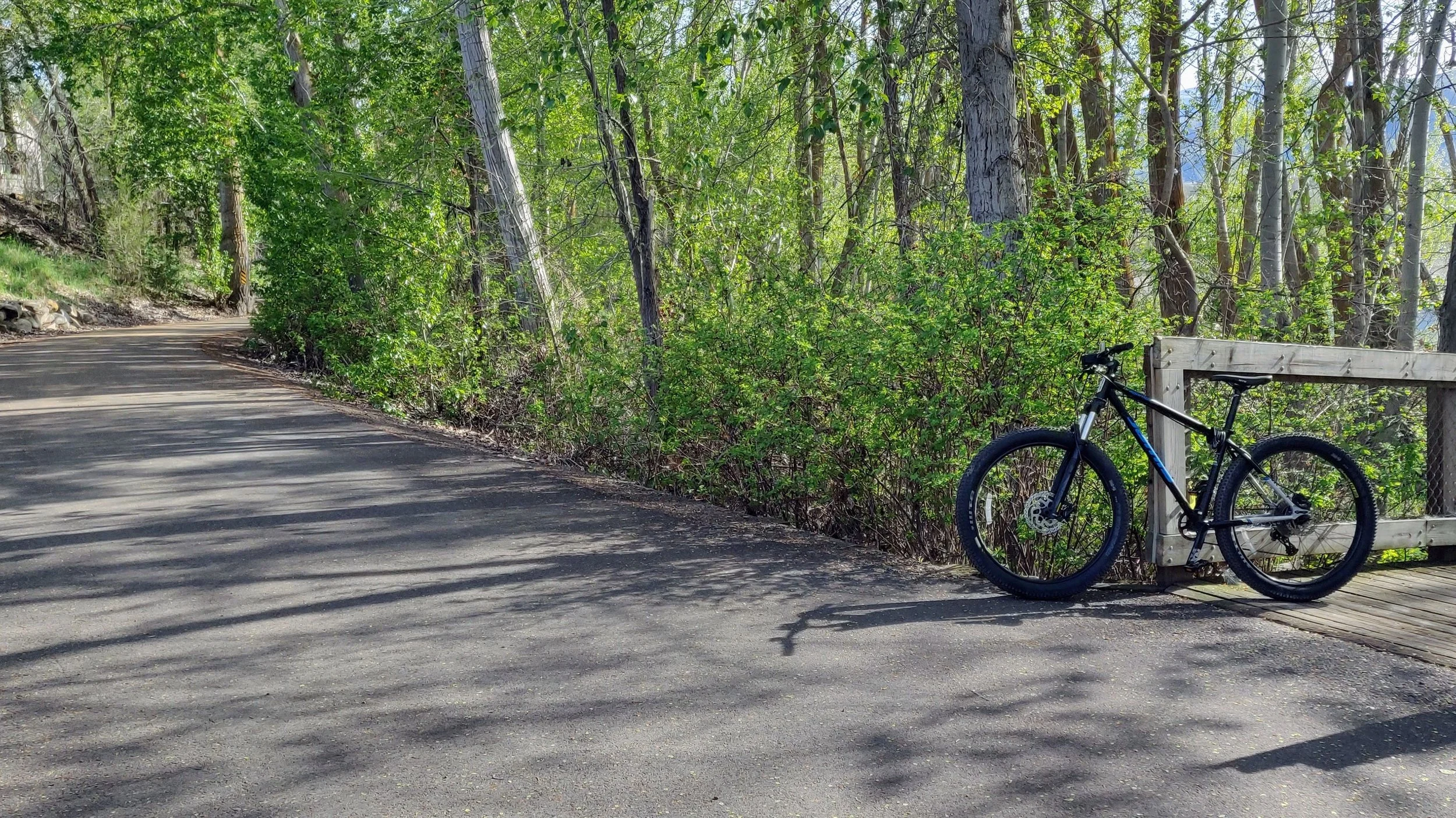 Loop Trail