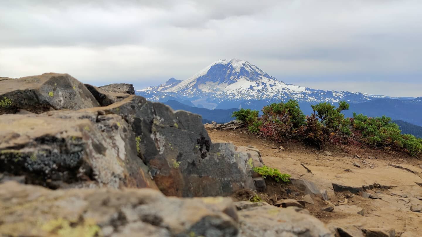 We went on a hike. #themountainisout #mtrainier #pnwanderers #pnw #wearehikers